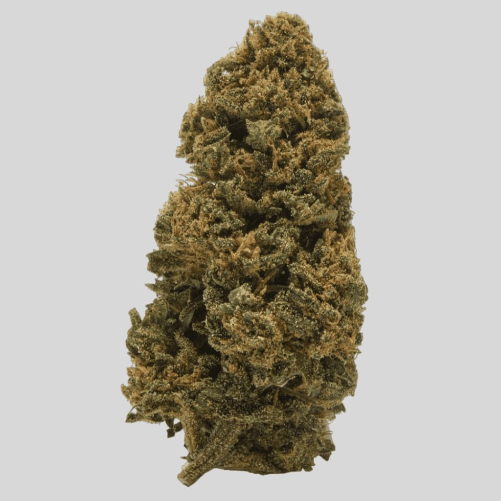 flores CBD Amnesia premium