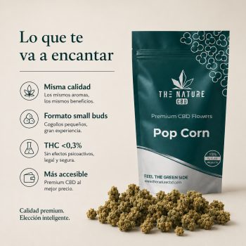 Popcorn beneficios