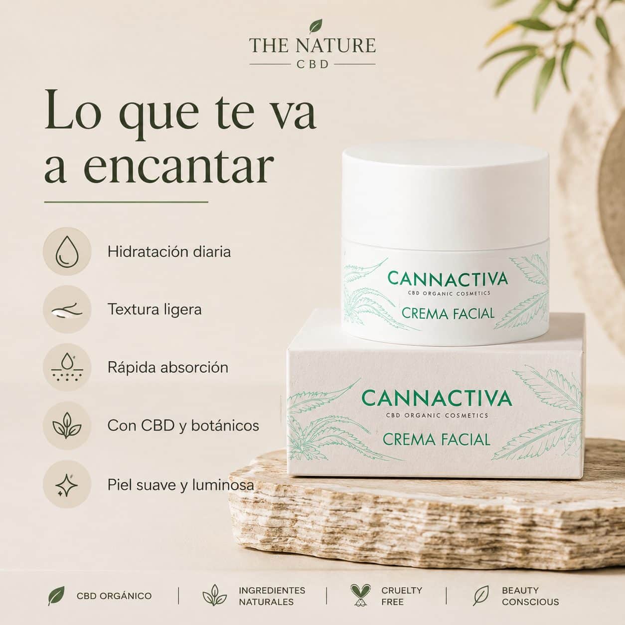 Crema Facial Hidratante con CBD - Imagen 3