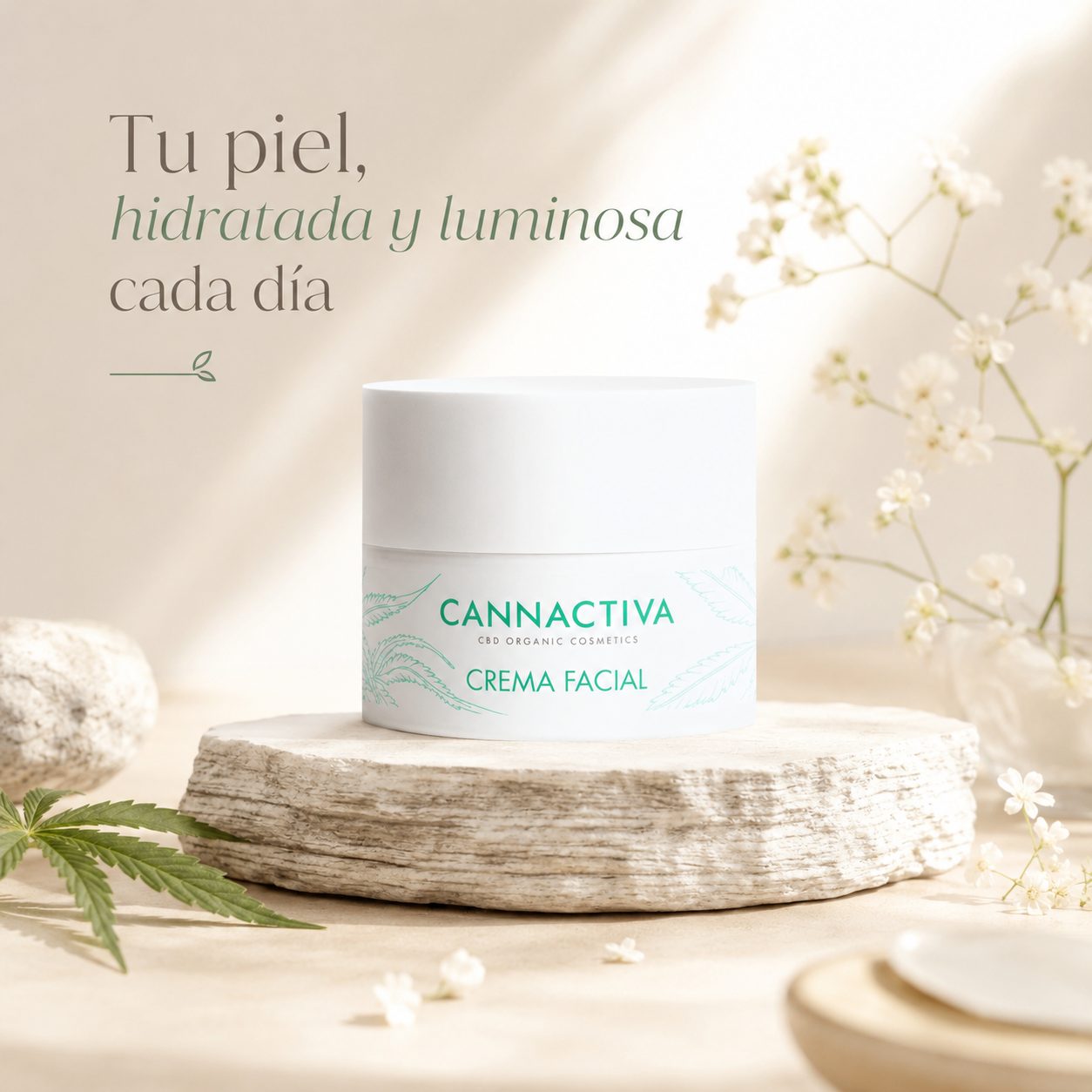 Crema Facial Hidratante con CBD - Imagen 7