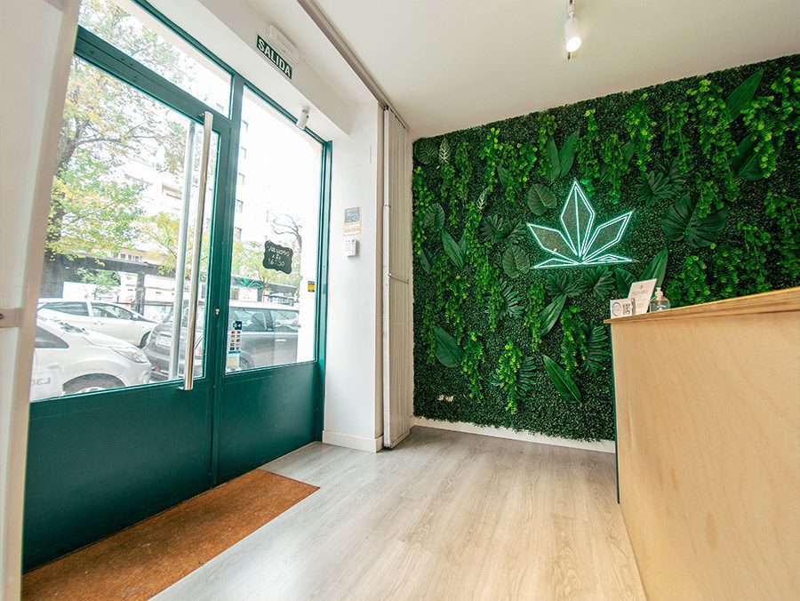 Foto-del-loca-TheNatureCBD-Ibiza-2-02